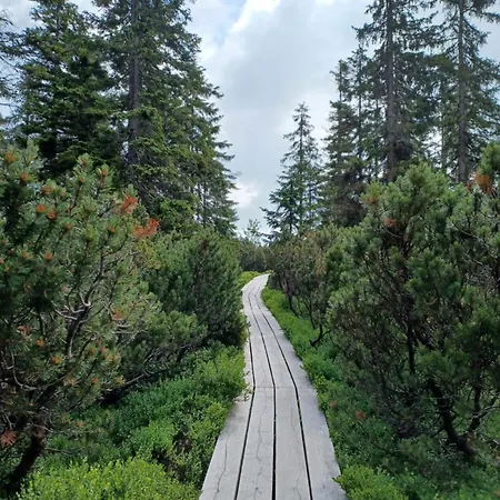 בית נופש Hill 51 By Interhome Cista (Hradec Kralove)