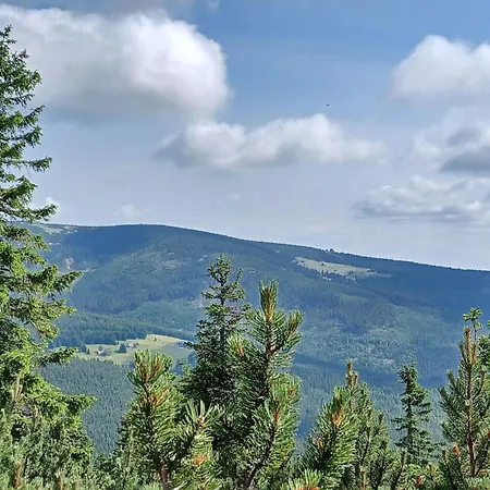 Hill 51 By Interhome בית נופש Cista (Hradec Kralove)