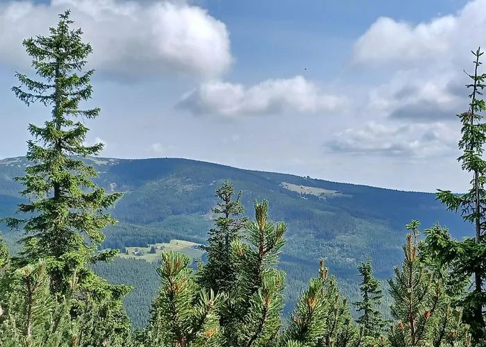 Hill 51 By Interhome Feriehus Cista (Hradec Kralove)